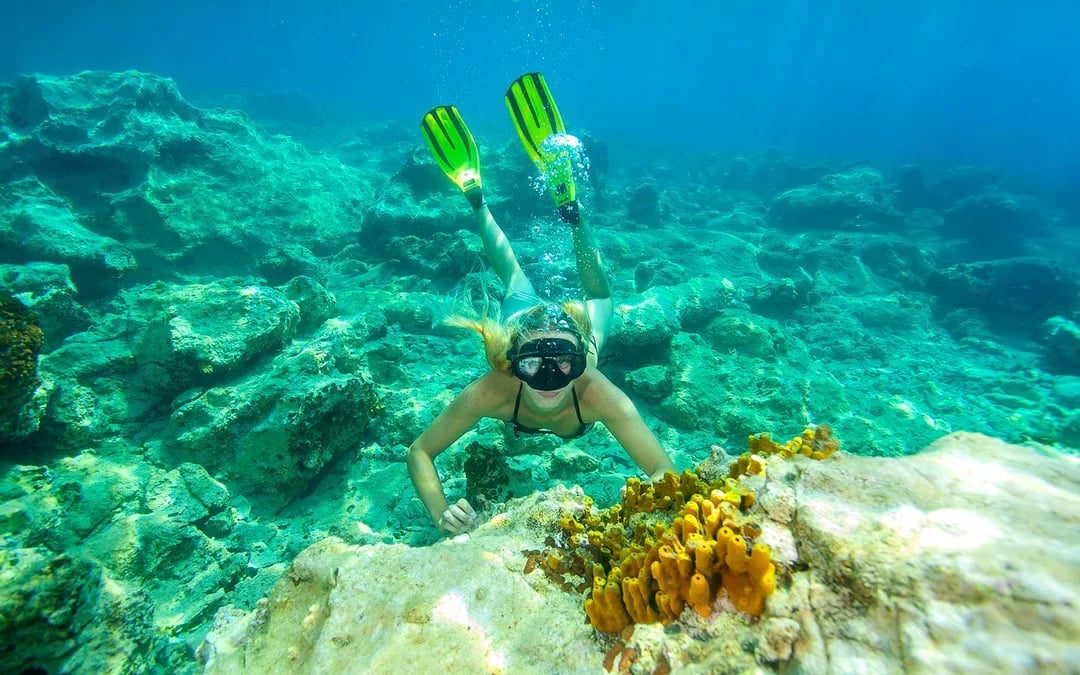 From Makarska: Speedboat Tour of Brac Island with Snorkeling Image 4