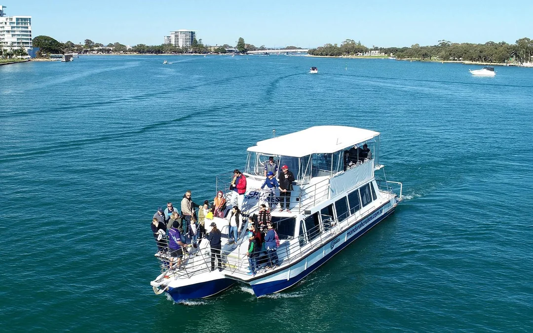 From Mandurah: Scenic View Dolphin Cruise Image 2