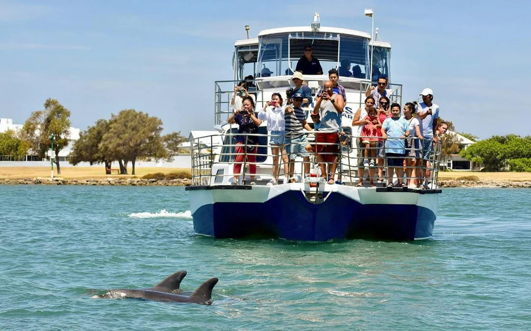 From Mandurah: Scenic View Dolphin Cruise Image 4