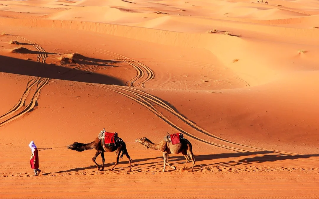 From Marrakech: 3 Days Desert Tour to Merzouga Dunes & Camel Trek Image 3