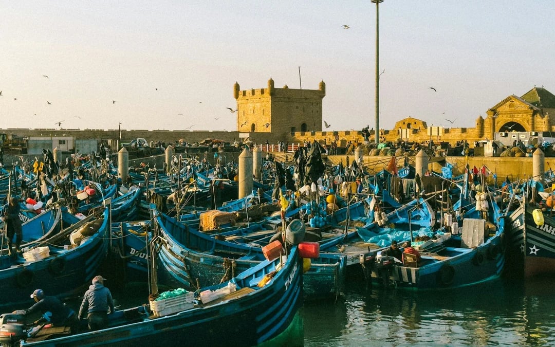 From Marrakech: Essaouira Small-Group Day Trip Image 3