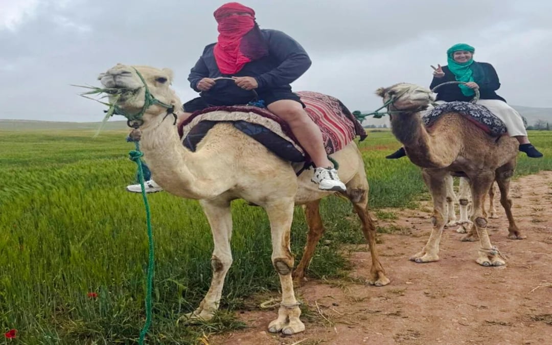 From Marrakech: Private Atlas Mountains & Agafay Desert Day Trip with Camel Ride Image 1