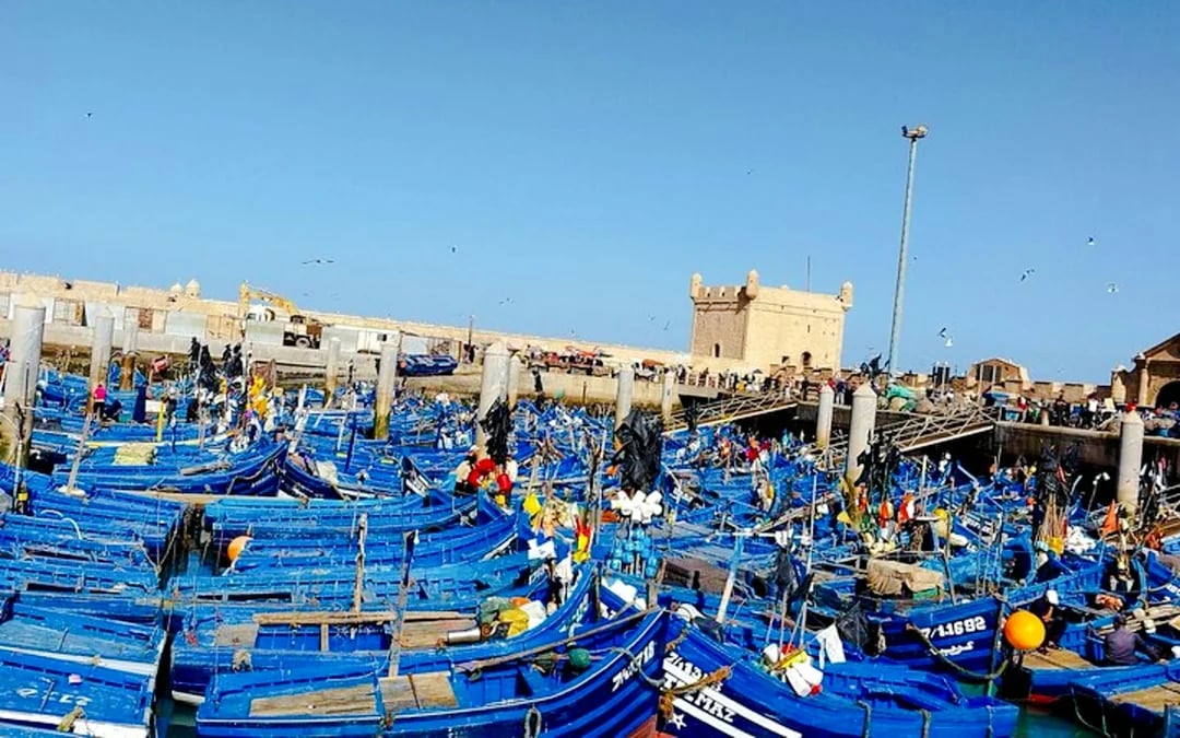 From Marrakech: Private Essaouira Day Trip with Hotel Transfers Image 4