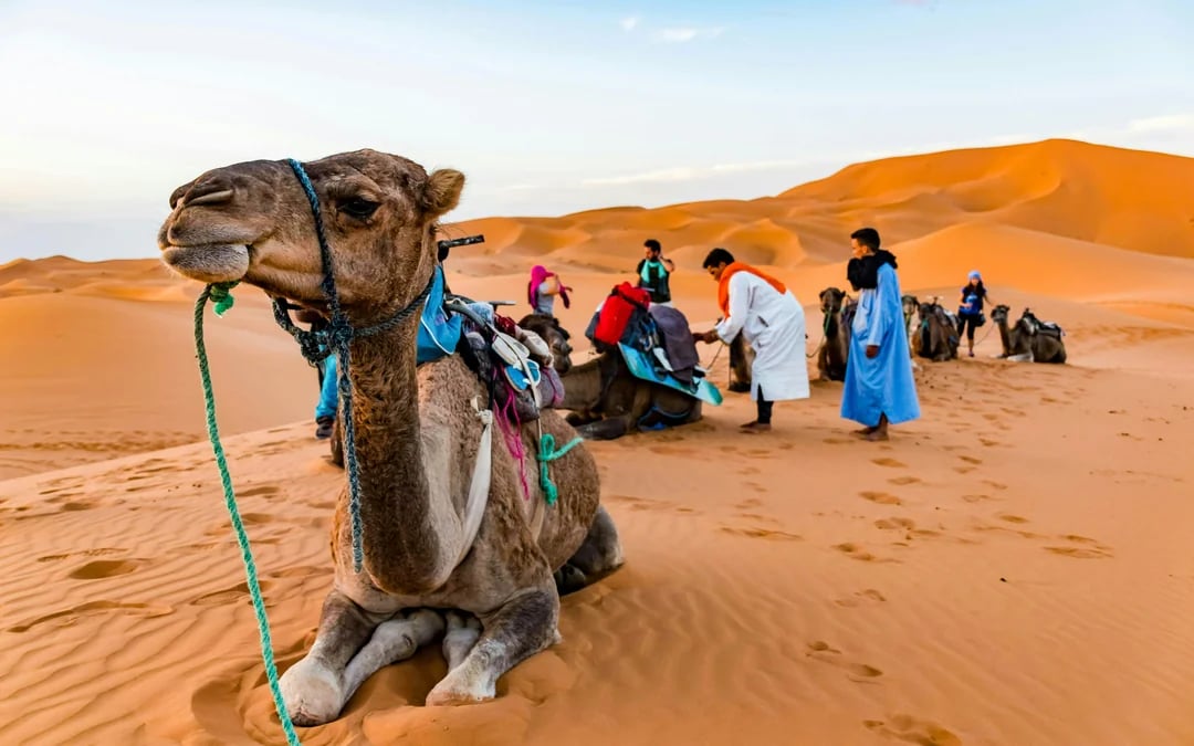 From Marrakech to Fes: 3-Day Merzouga Desert Tour with Camel Ride & Berber Camp Image 7