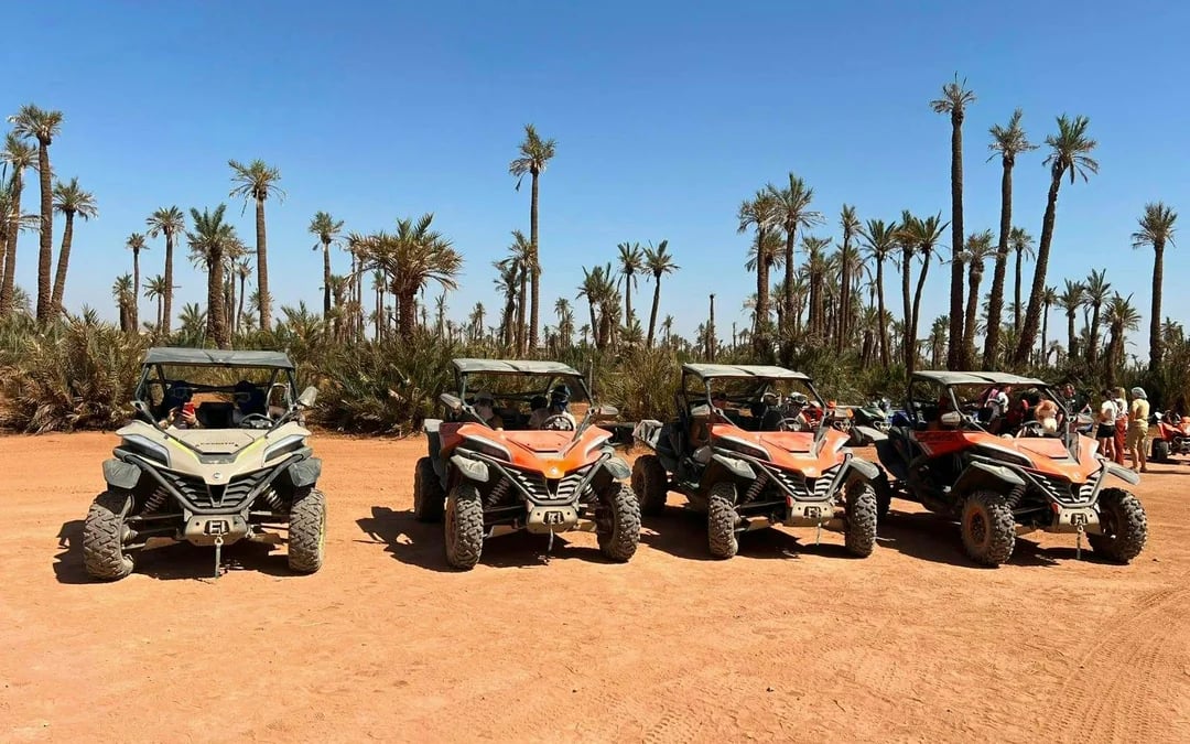 From Marrakech: Tour Buggy 1000cc in Palm Oasis
 Image 2