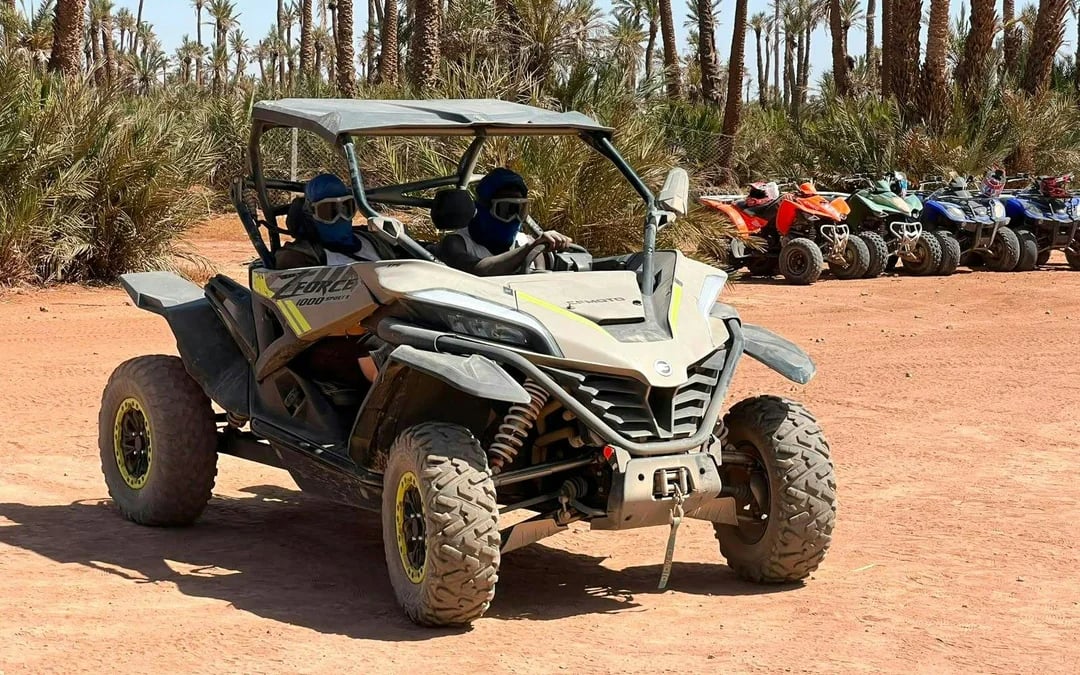 From Marrakech: Tour Buggy 1000cc in Palm Oasis
 Image 3