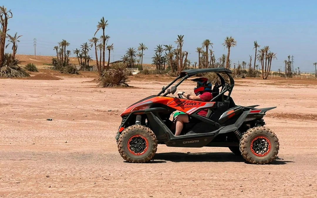 From Marrakech: Tour Buggy 1000cc in Palm Oasis
 Image 4