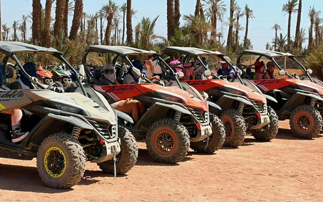 From Marrakech: Tour Buggy 1000cc in Palm Oasis
 Image 6