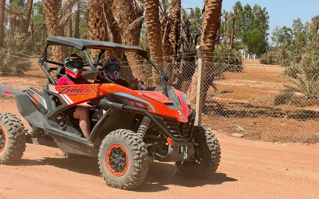 From Marrakech: Tour Buggy 1000cc in Palm Oasis
 Image 7