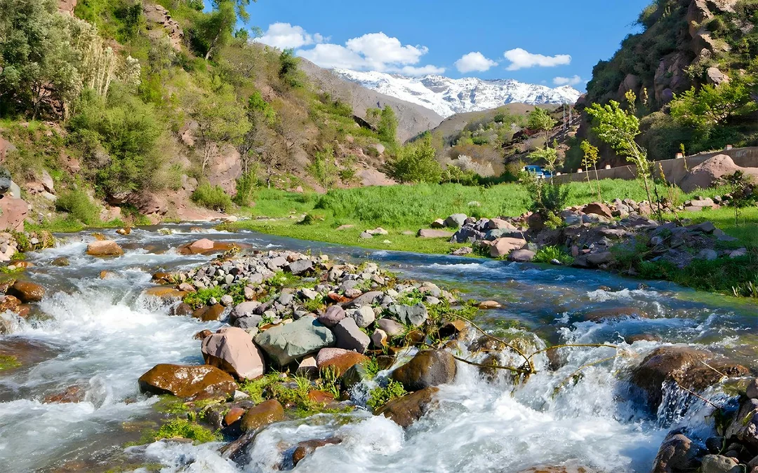 From Marrakesh: Full-Day Ourika Valley, Atlas Mountains and Waterfall Tour  Image 4
