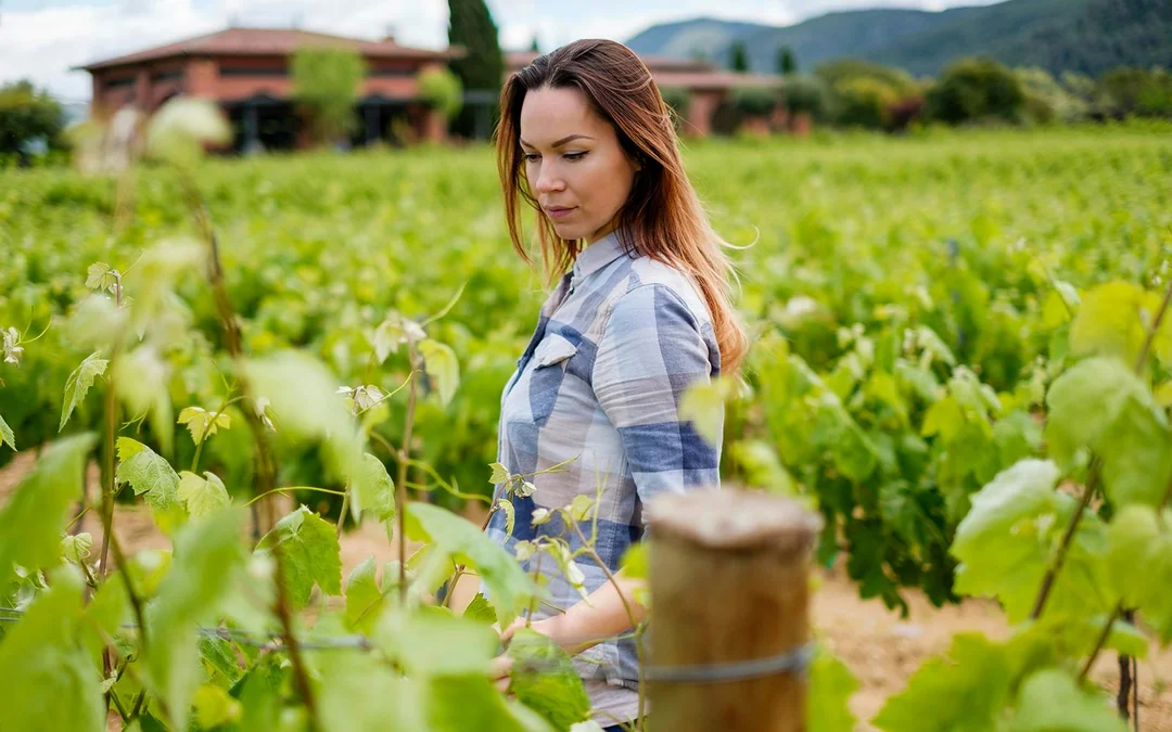 From Marseille: Full-Day Wine Tasting Tour of Bandol & Cassis Image 2