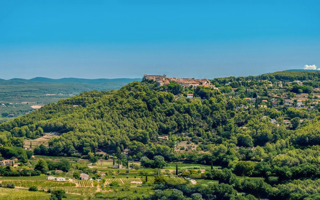 From Marseille: Full-Day Wine Tasting Tour of Bandol & Cassis Image 3