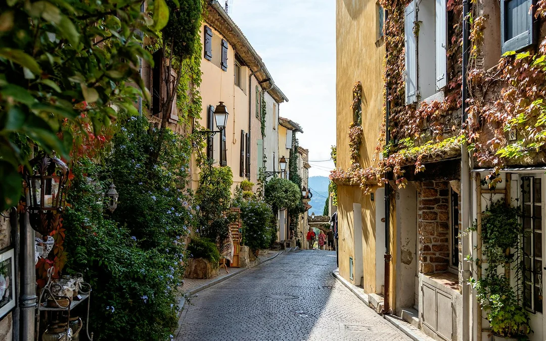 From Marseille: Full-Day Wine Tasting Tour of Bandol & Cassis Image 4