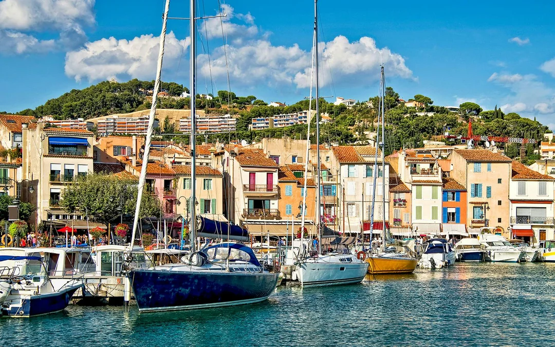 From Marseille: Full-Day Wine Tasting Tour of Bandol & Cassis Image 5