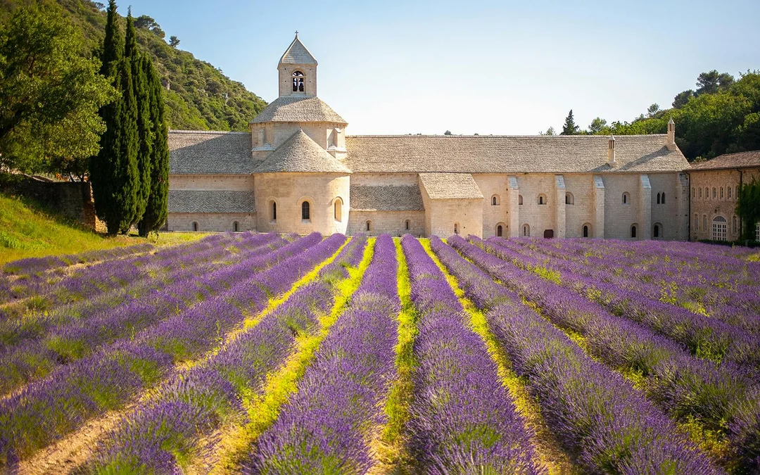 From Marseille: Lavender Fields Full-Day Tour Image 1