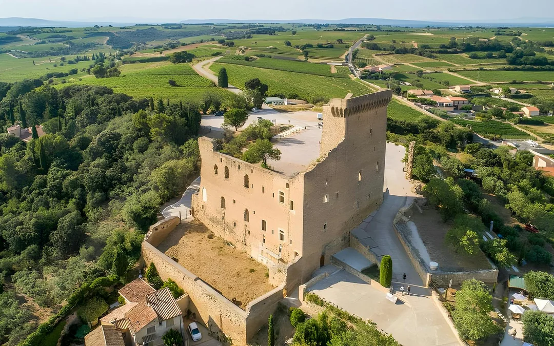 From Marseille: Pont du Gard, Avignon & Châteauneuf-du-Pape Day Trip with Wine Tasting Image 4
