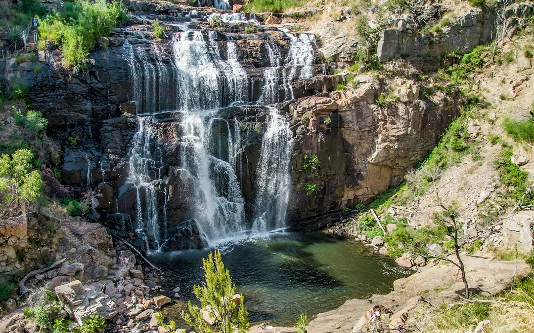 From Melbourne: 1-Day Guided Tour of Grampians Eco Wilderness Image 10