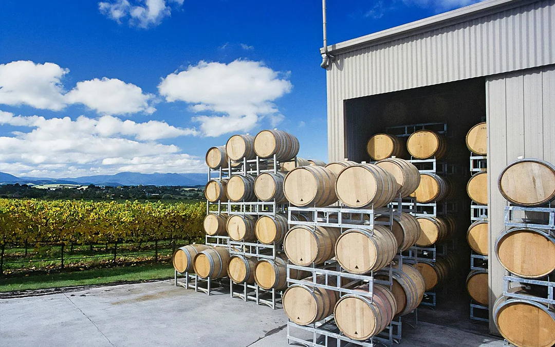 From Melbourne: [All Inclusive] Wine, Cheese, & Chocolate Tastings with 4 Wineries Visits and Gourmet Lunch Image 5