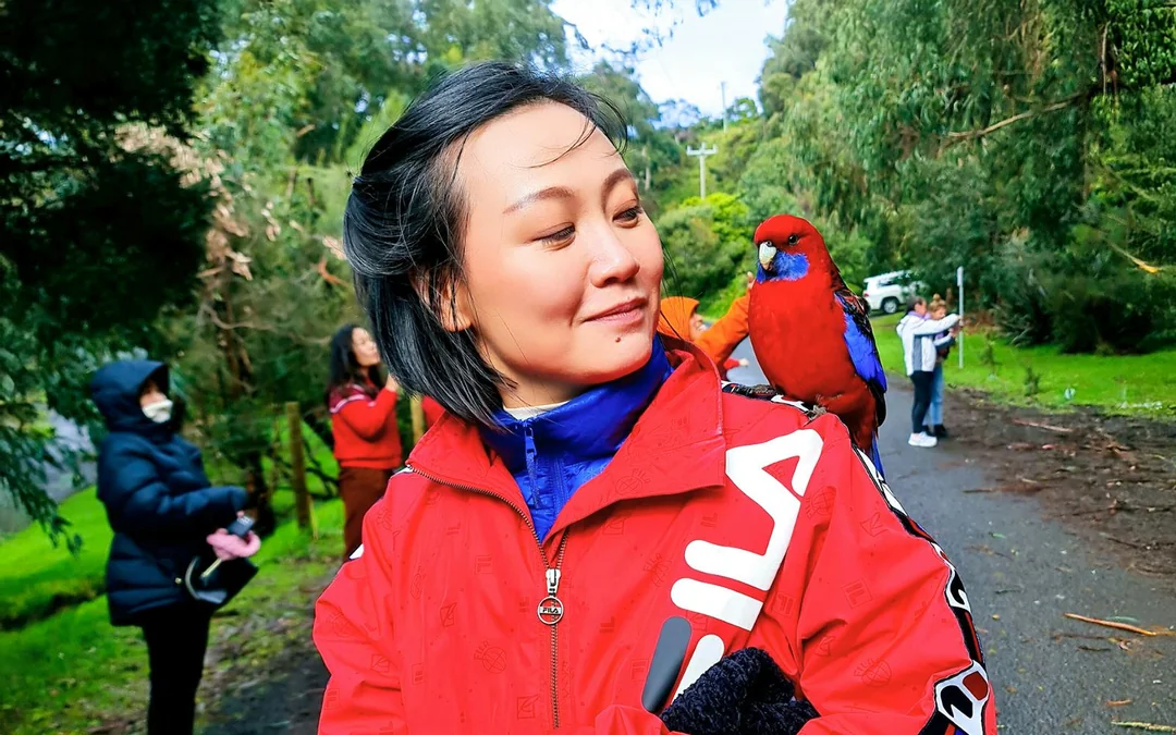 From Melbourne: Full-Day Great Ocean Road Guided Tour Image 4