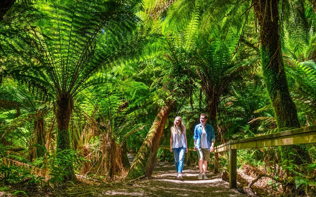 From Melbourne: Full-Day Great Ocean Road Guided Tour Image 5