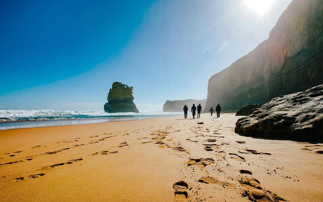 From Melbourne: Full-Day Great Ocean Road Guided Tour Image 8