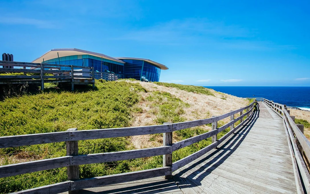 From Melbourne: Full-Day Guided Tour of Phillip Island Wildlife with Penguin Parade & Brighton Beach Boxes  Image 5