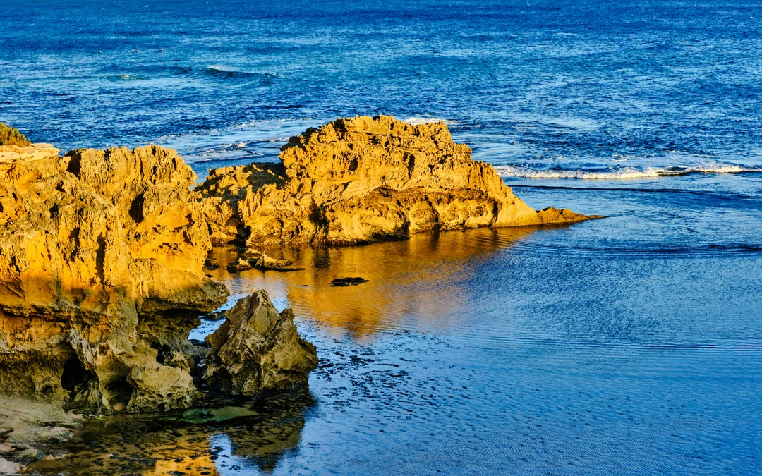 From Melbourne: Half/Full-Day Phillip Island Day Trip with Penguin Parade Image 3