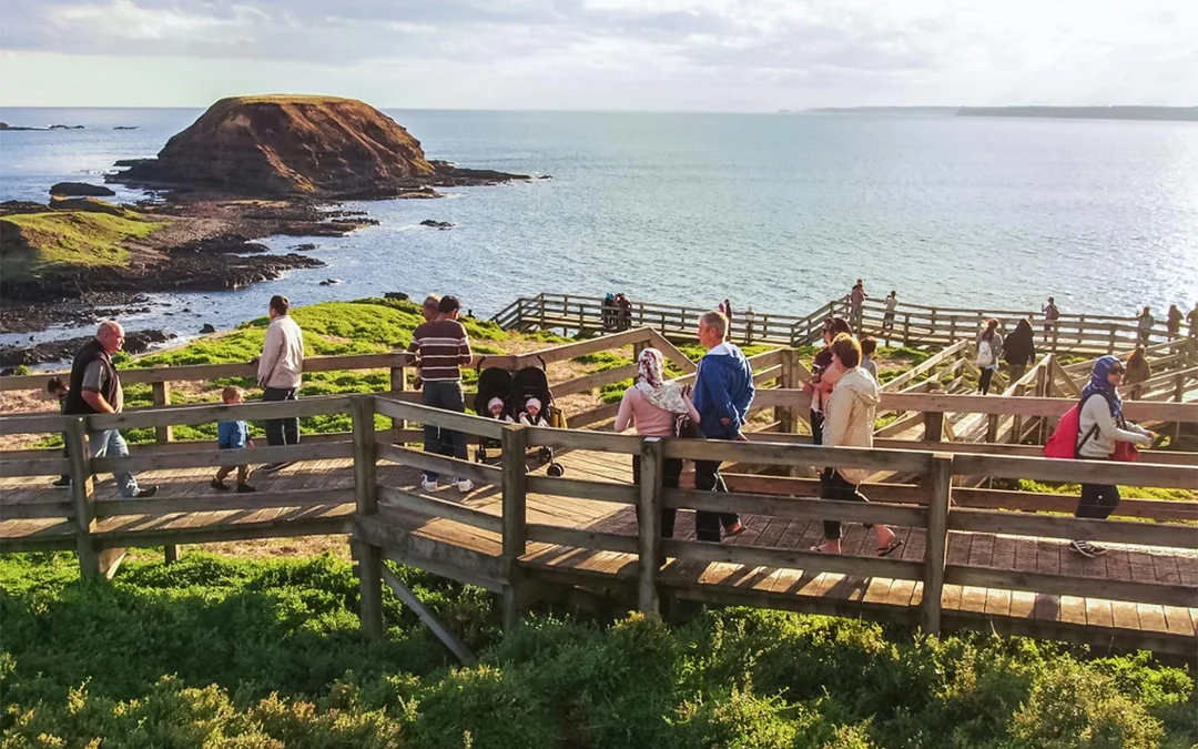 From Melbourne: Healesville Sanctuary & Phillip Island Guided Tour with Penguin Parade Image 1