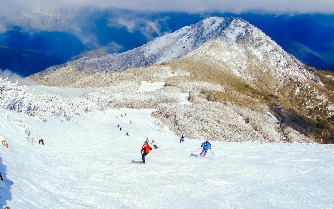 From Melbourne: Mt Buller Day Tour with Transfers & Resort Entry Image 5