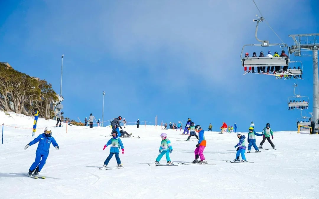 From Melbourne: Mt Buller Day Tour with Transfers & Resort Entry Image 6