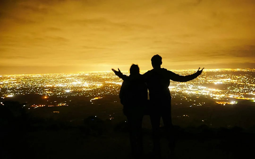 From Melbourne: Mt Dandenong Small-Group Tour Image 1