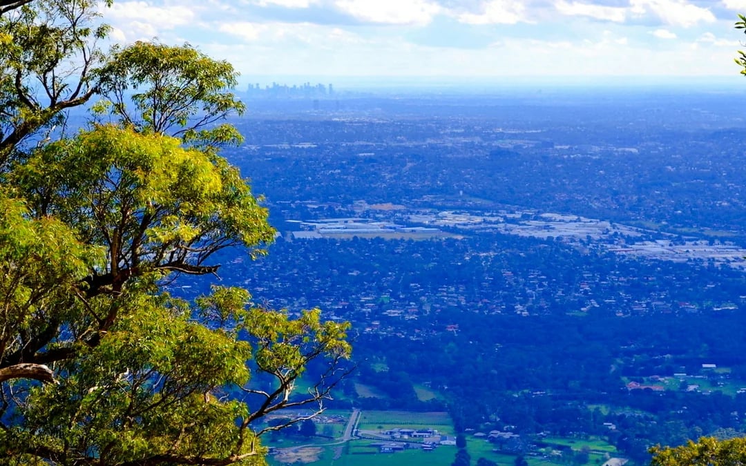 From Melbourne: Mt Dandenong Small-Group Tour Image 5