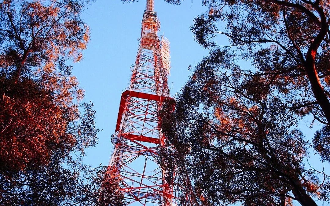 From Melbourne: Mt Dandenong Small-Group Tour Image 7