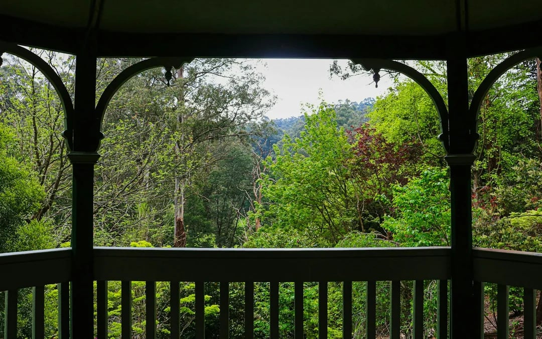 From Melbourne: Mt Dandenong Small-Group Tour Image 8