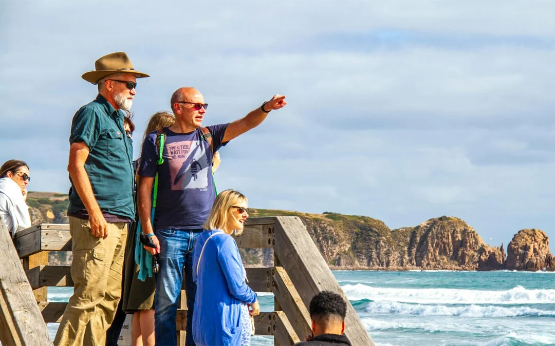 From Melbourne: Phillip Island Penguin Parade Afternoon Guided Tour Image 5
