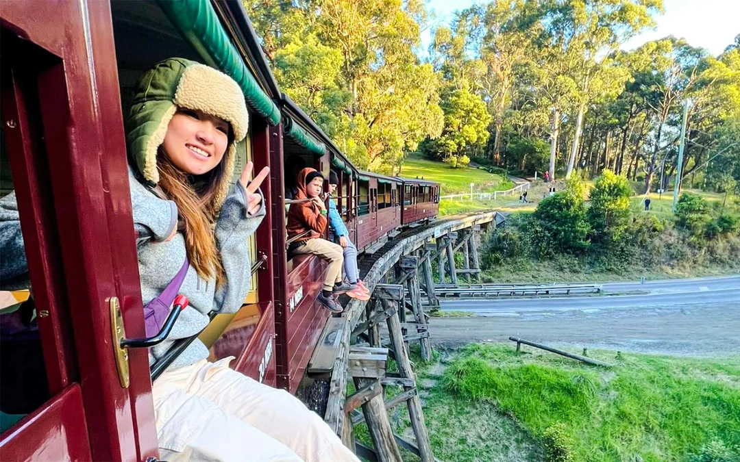 From Melbourne: Puffing Billy & Healesville Sanctuary Scenic Tour with Transfers Image 3