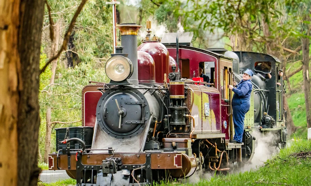 From Melbourne: Puffing Billy & Healesville Sanctuary Scenic Tour with Transfers Image 4