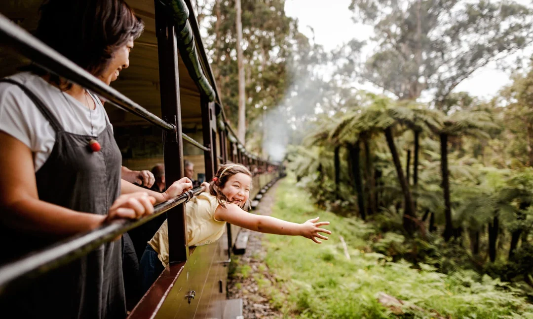 From Melbourne: Puffing Billy Steam Train Half-Day Tour with Transfers Image 1