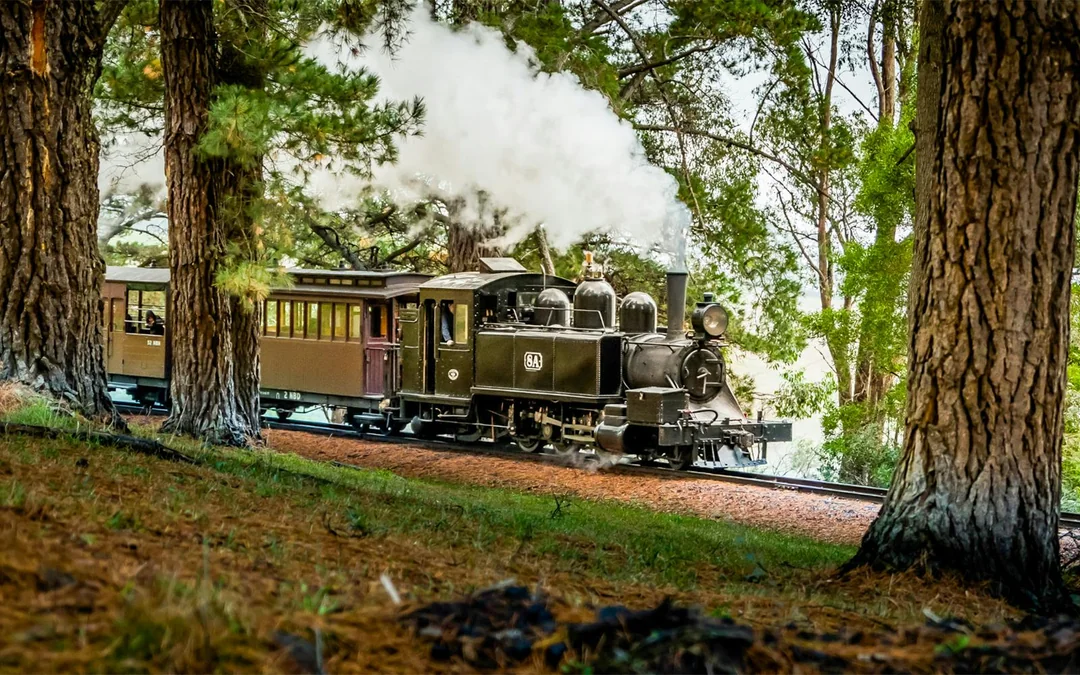 From Melbourne: Puffing Billy Steam Train Half-Day Tour with Transfers Image 12