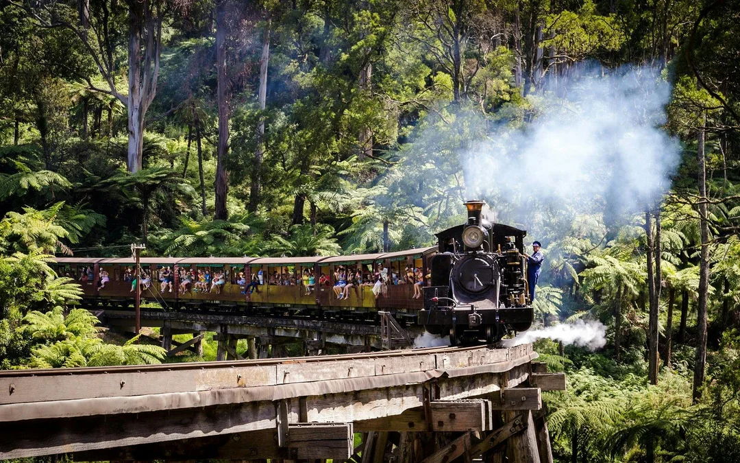 From Melbourne: Puffing Billy Train Ride & Phillip Island Guided Tour Image 1