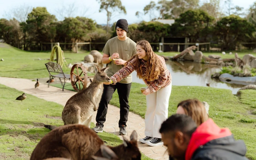 From Melbourne: Puffing Billy Train Ride & Phillip Island Guided Tour Image 2