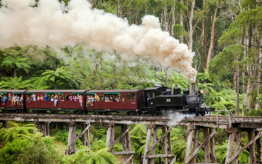 From Melbourne: Puffing Billy Train Ride & Phillip Island Guided Tour Image 12