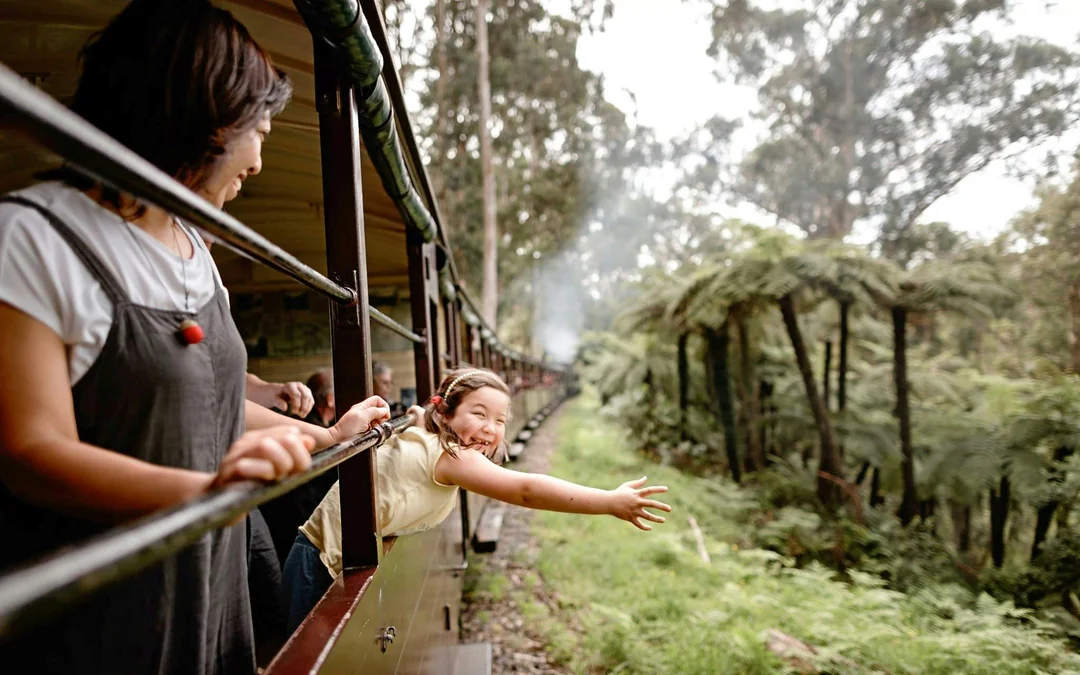 From Melbourne: Puffing Billy Train Ride & Phillip Island Guided Tour Image 3