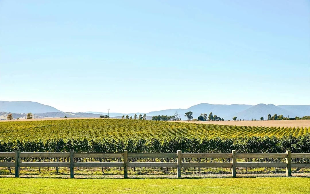 From Melbourne: Yarra Feast Tour with Two-Course Lunch, Gin, Wine & Chocolate Tasting Image 3