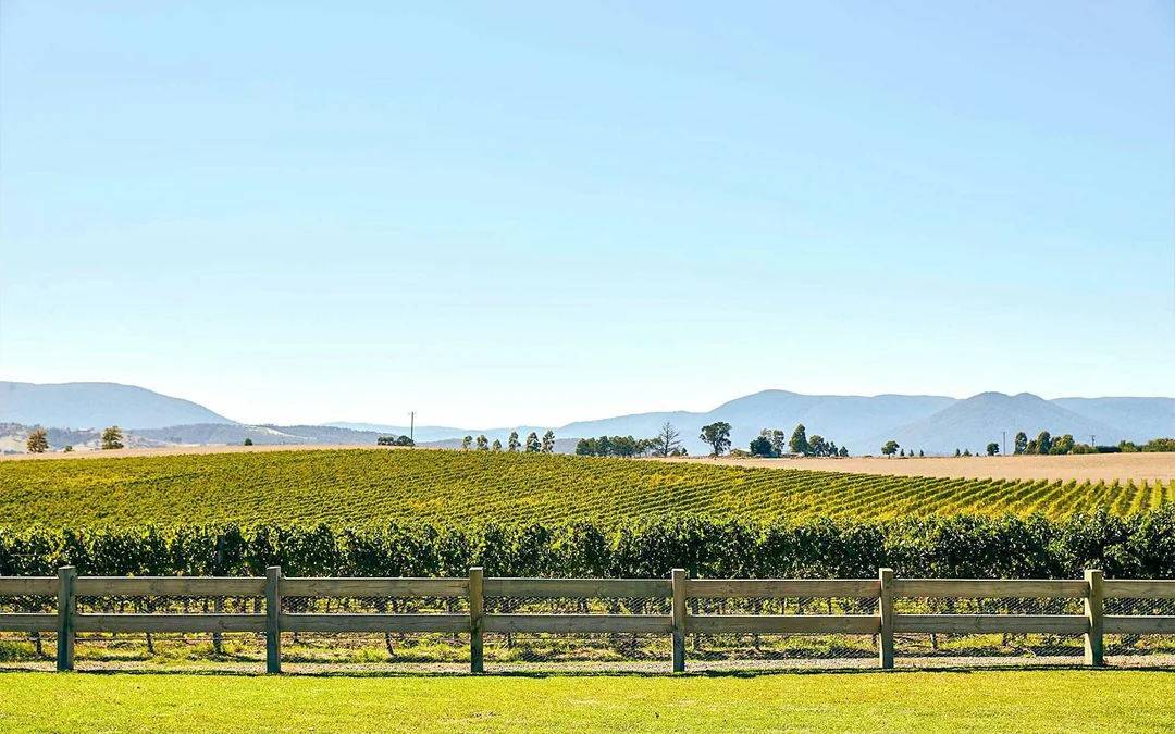 From Melbourne: Yarra Feast Tour with Two-Course Lunch, Gin, Wine & Chocolate Tasting Image 3