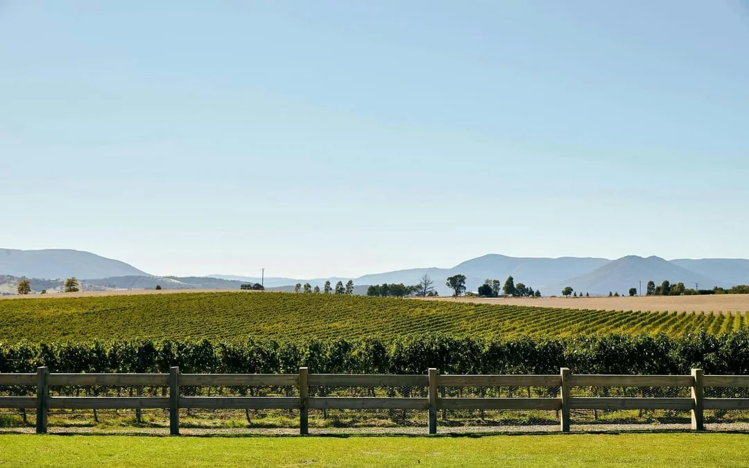 From Melbourne: Yarra Valley Curated Wine Tour with Gin, Wine, Chocolate & Fruit Tastings Image 1