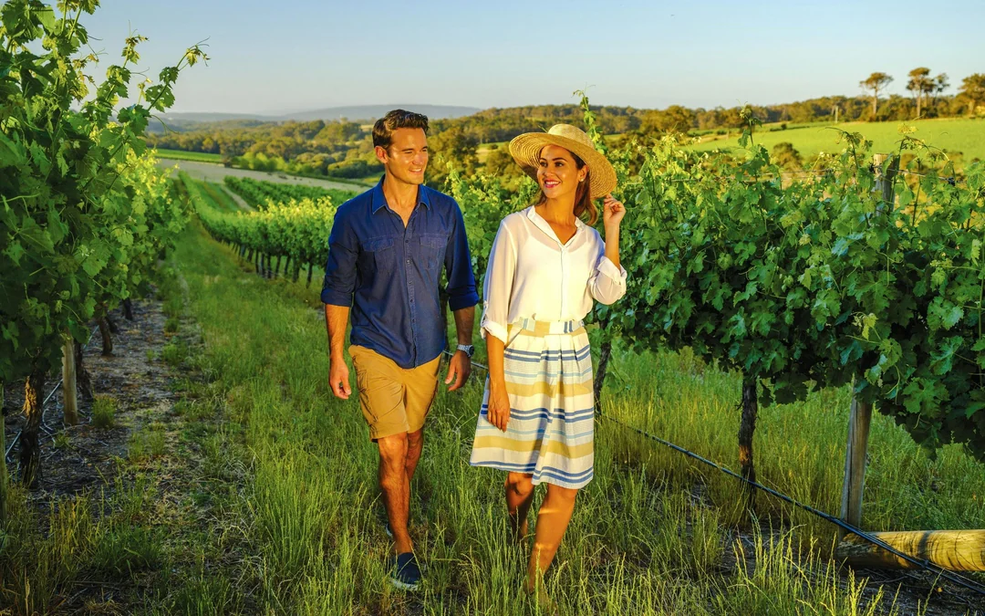 From Melbourne: Yarra Valley Small Group Tour with Chandon stop, Kangaroo Spotting at Sunset & Food Tasting Image 1