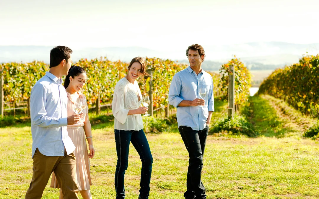 From Melbourne: Yarra Valley Small Group Tour with Chandon stop, Kangaroo Spotting at Sunset & Food Tasting Image 12
