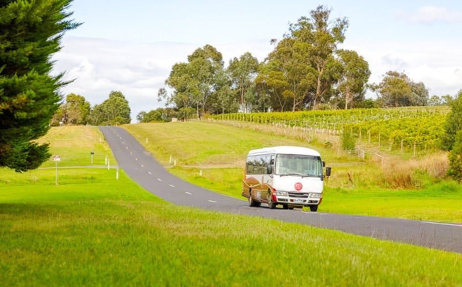 From Melbourne: Yarra Valley Wine Tour with 4 Wineries Visits and Gourmet Lunch at Balgownie Estate Image 3