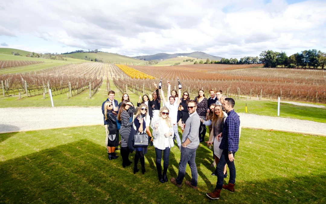 From Melbourne: Yarra Valley Wine Tour with 4 Wineries Visits and Gourmet Lunch at Balgownie Estate Image 5